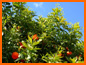 Casa Oliva - Photo Gallery