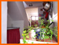 Casa Oliva - Photo Gallery