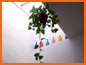 Casa Oliva - Photo Gallery
