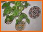 Casa Oliva - Photo Gallery