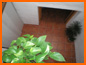 Casa Oliva - Photo Gallery
