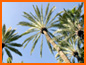 Casa Oliva - Photo Gallery