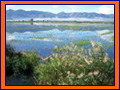 Parque Natural el Marjal. Ampliar imagen.