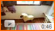 Video del Dormitorio 2. Abre en una Venta Nueva. Video del Dormitorio 2. Abre en una Venta Nueva.